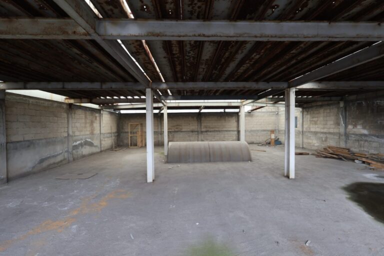 Imagen de WhatsApp 2025 06 18 a las 18.24.09 6981b8c5 768x512