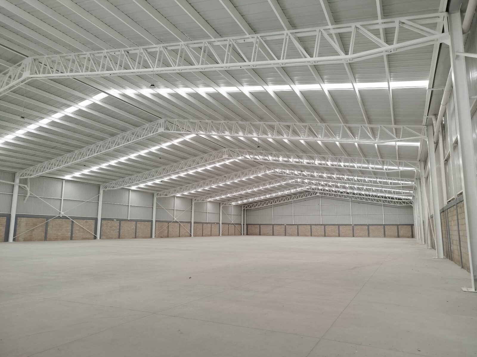 NAVE INDUSTRIAL DE 5,500 M2 EN PALMILLAS 1 imagen 2026 05 05 075539528